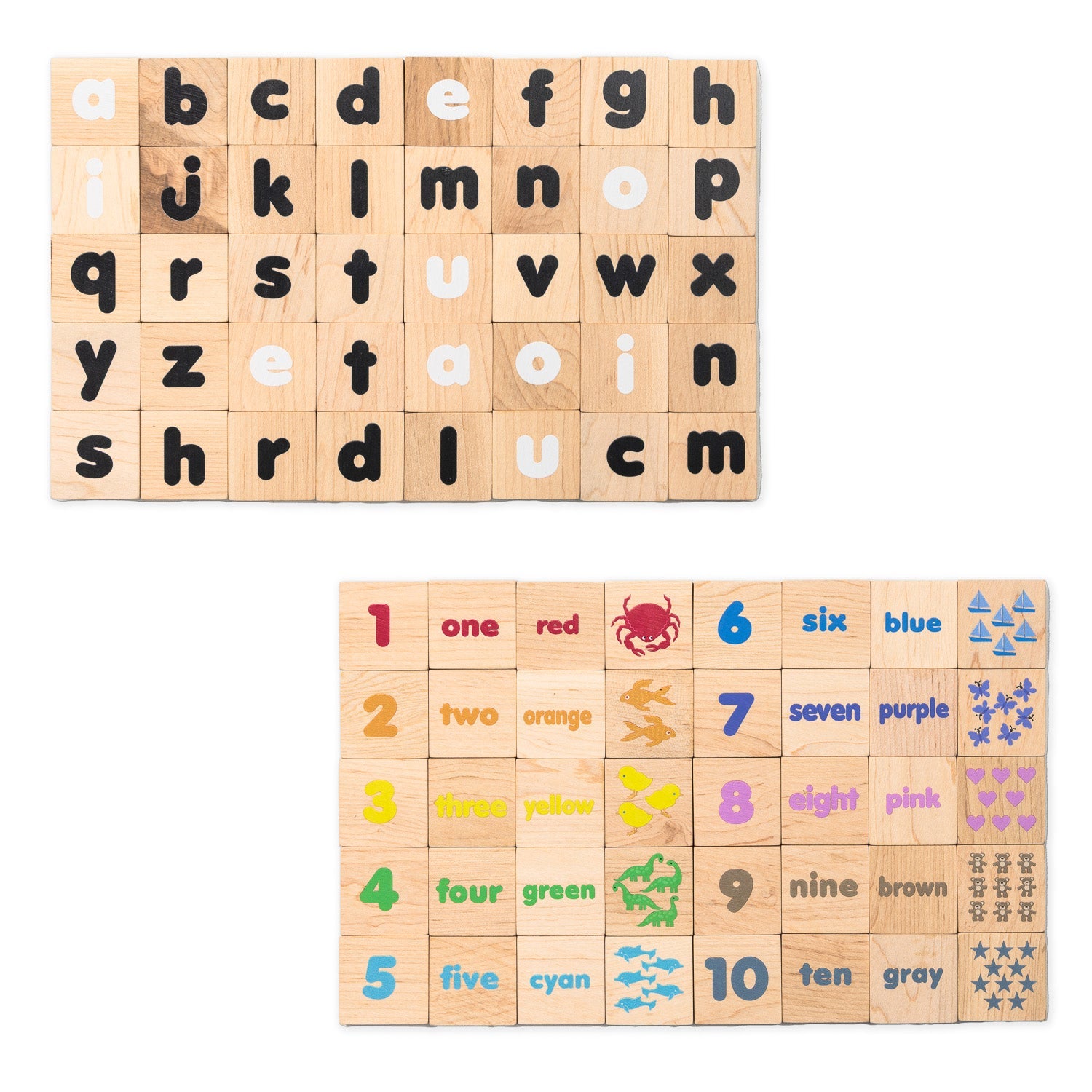 ABCs & 123s Magnetic Learning Tiles – Montessori-Inspired, Colors and Counting | Made in the Canada | Printed with Non-toxic Ink in the USA 🇺🇸